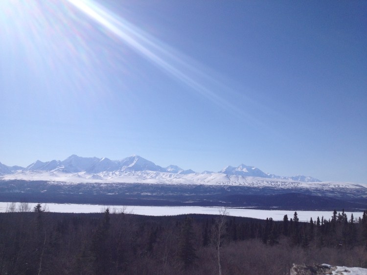 Mount Hayes on the right