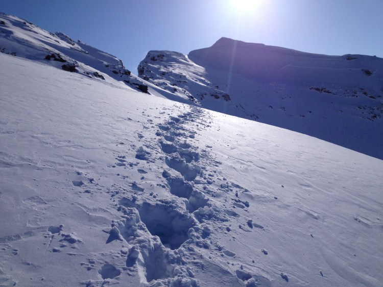 Can you see anything wrong here?