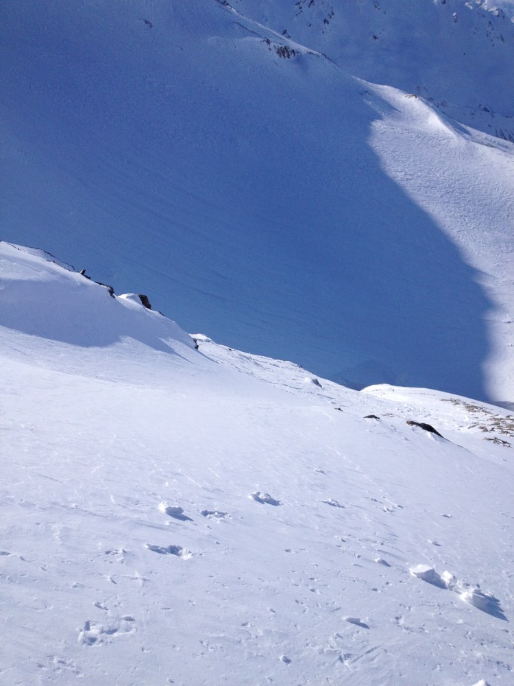 Avalanche runnout waaaaaay down there